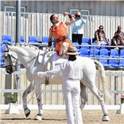 Profesor de español para extranjeros, todas los niveles.